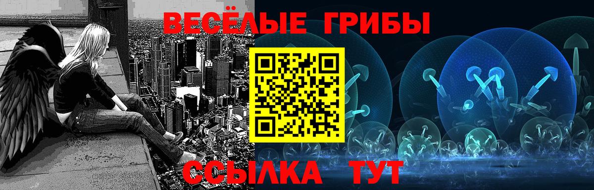 Ижевск  Галлюциногенные грибы Cubensis  Галлюциногенные грибы Psilocybe  Вход с VPN 